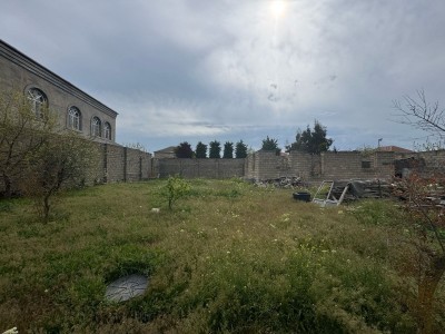 image 374247