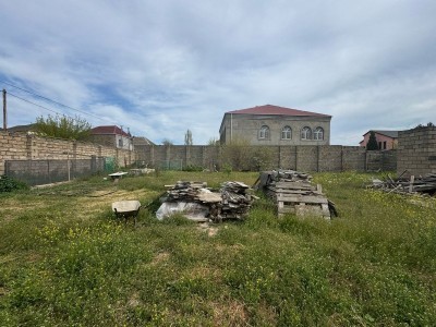 image 374247