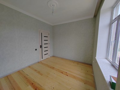 image 374250