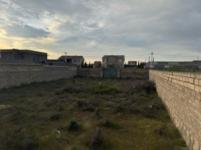 image 374295