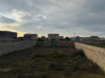 image 374295