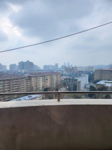 image 374419