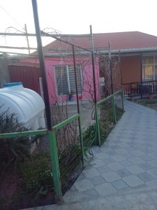 image 374420