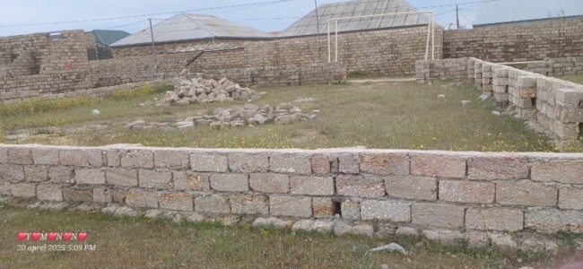 image 374427