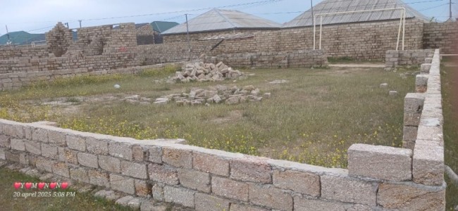 image 374427