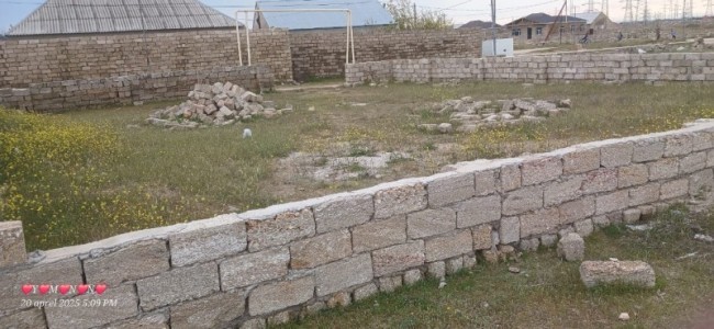 image 374427