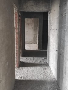 image 374447