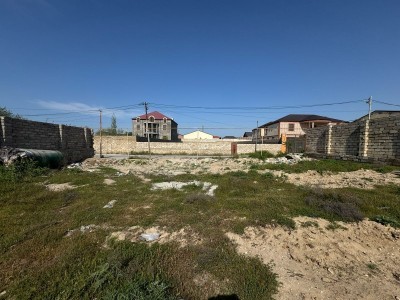 image 374497