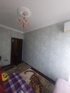 image 374498