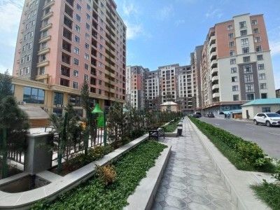 image 374504