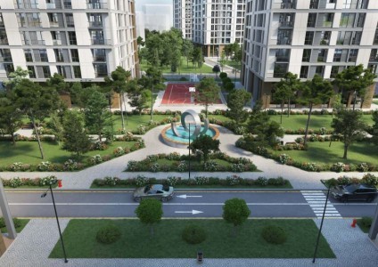 image 374530