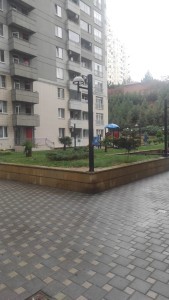 image 374536