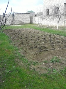 image 374568