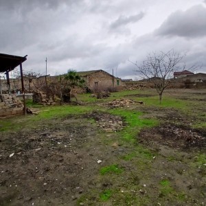 image 374586