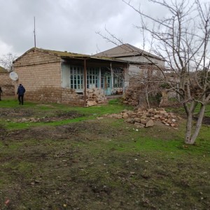 image 374586