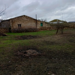 image 374586