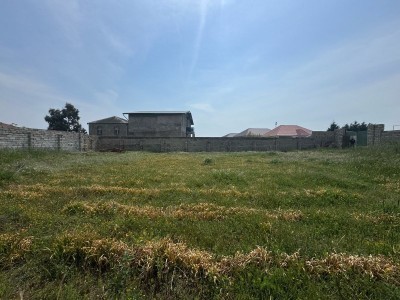 image 374601