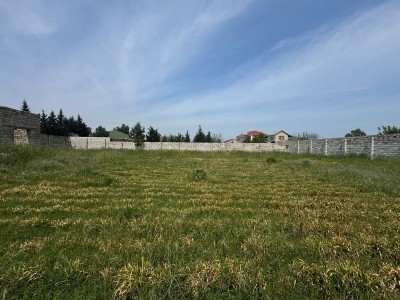 image 374601