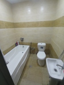 image 374656