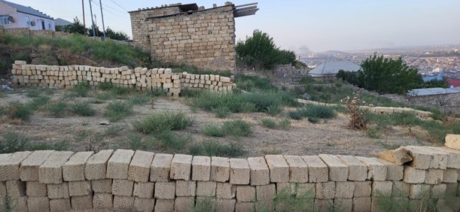 image 374660