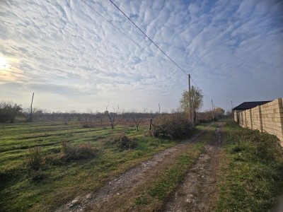 image 374683