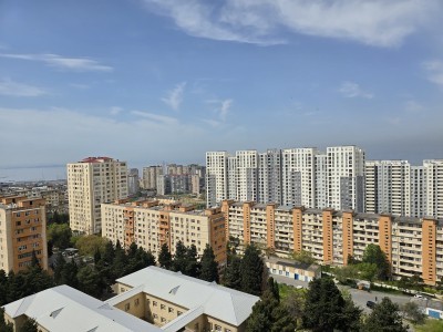 image 374714