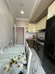 image 374716