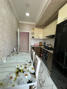 image 374716