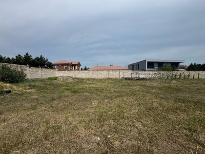 image 374719