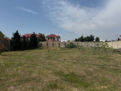 image 374719