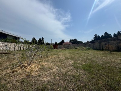 image 374719