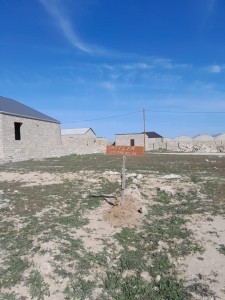 image 374869