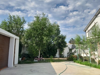 image 374870