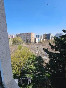 image 374900