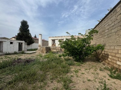 image 374904