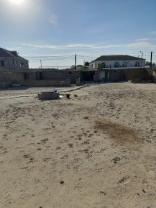 image 374916