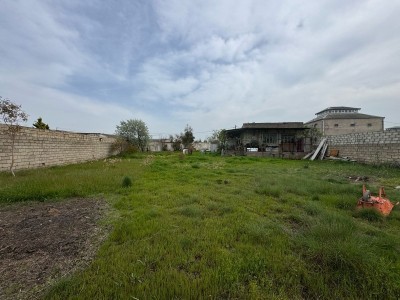 image 374917