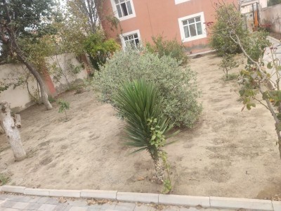 image 374918