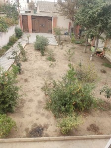 image 374918