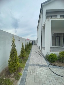 image 374937