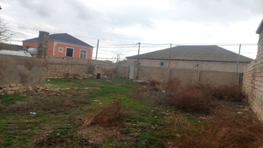 image 374998