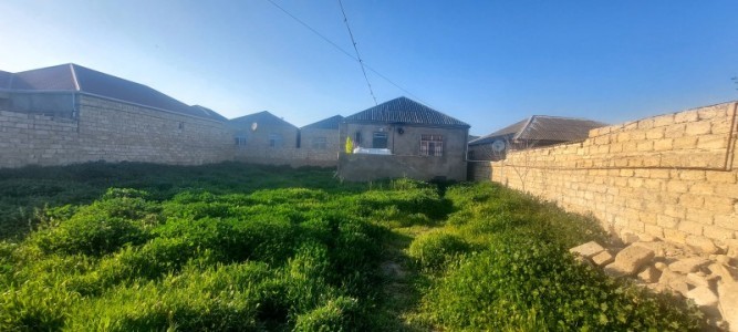 image 374998