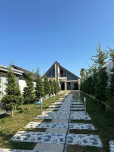image 375007