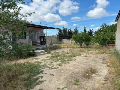 image 375029