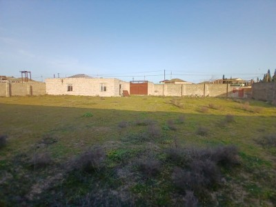 image 375030