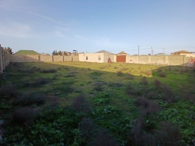 image 375030