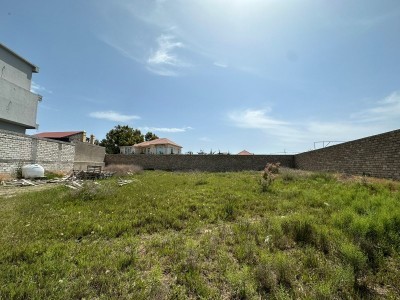 image 375032