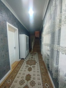 image 375033