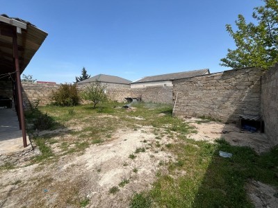 image 375039