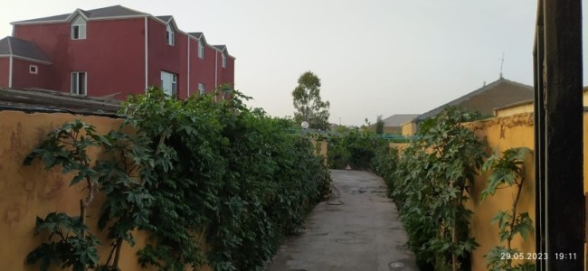 image 375043